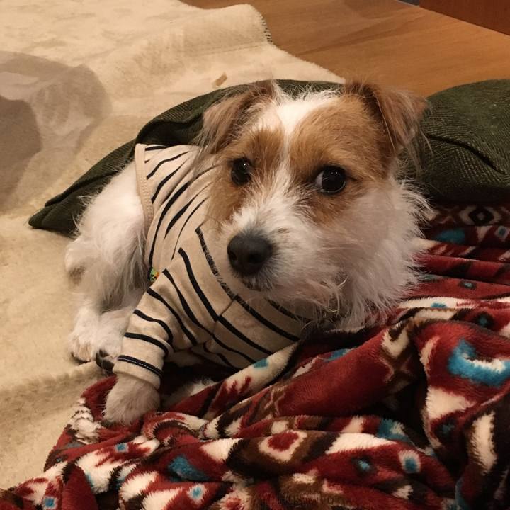 Bc16bcd2 eac1 4245 a0f3 8eccc09811cd