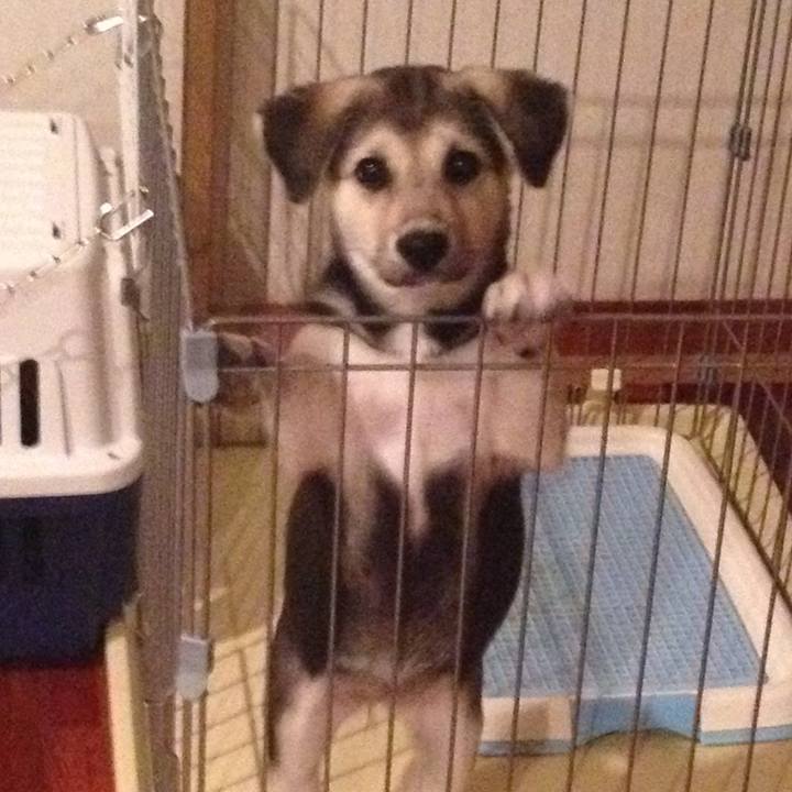 Bc16f1f0 411c 443e b2f1 5144b3fa3485