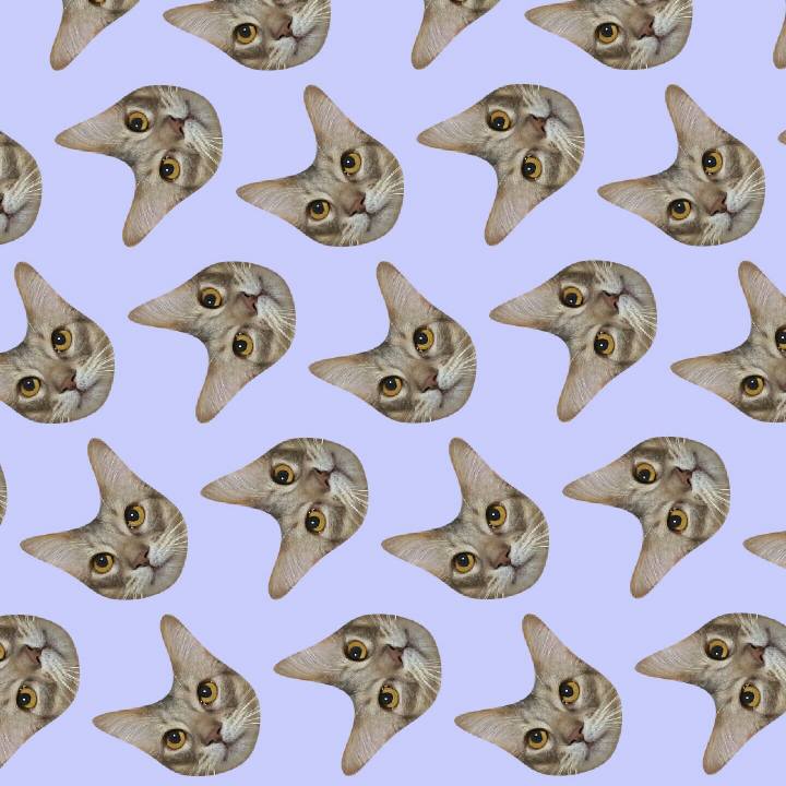 Bc1726ae fb50 44b4 aca2 08159867e95a