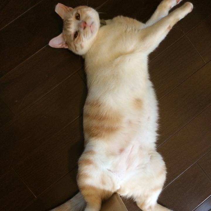 Bc17c802 d3cf 40ba 8f21 c1b09abac1e3