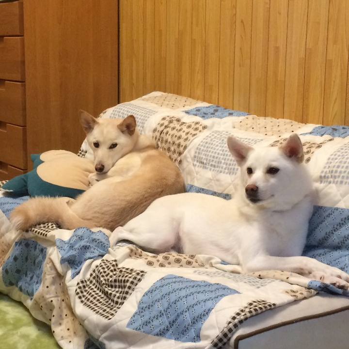 Bc17f9fa 34e7 4a89 8202 105e3c315def