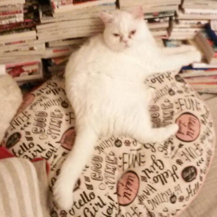 Bc1893b3 ac4d 4499 9299 8f6304c904cd