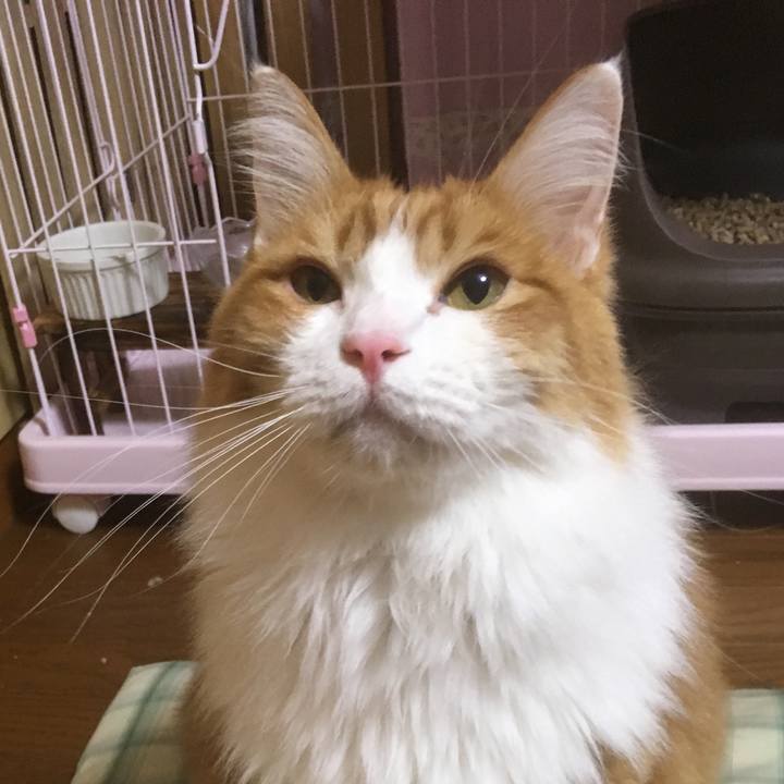 Bc18be8a e94d 4a8f a0b3 449a2905c432