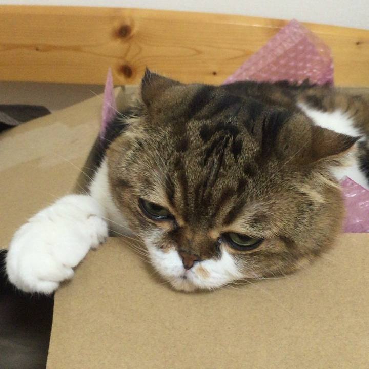 Bc192ada 8ae0 4b77 83f5 6aaa53577ce3