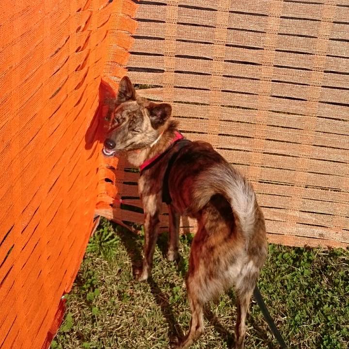 Bc19455f 3f48 4e4e 8d0e 3d2f2618429e