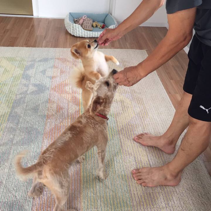 Bc1977da b16c 4aab 95f5 b5c7146cf30e