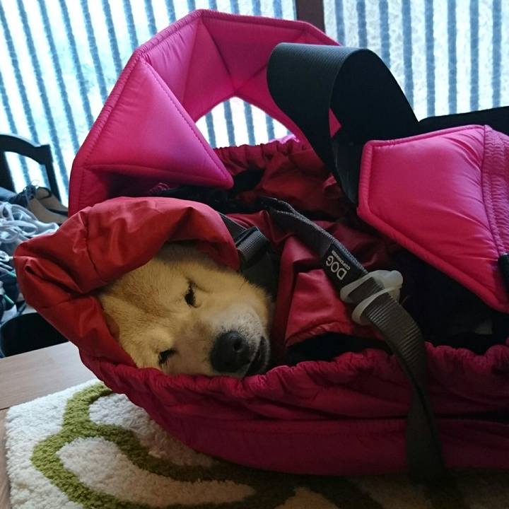 Bc1a41b4 e9a1 430e a614 a0dd05212531