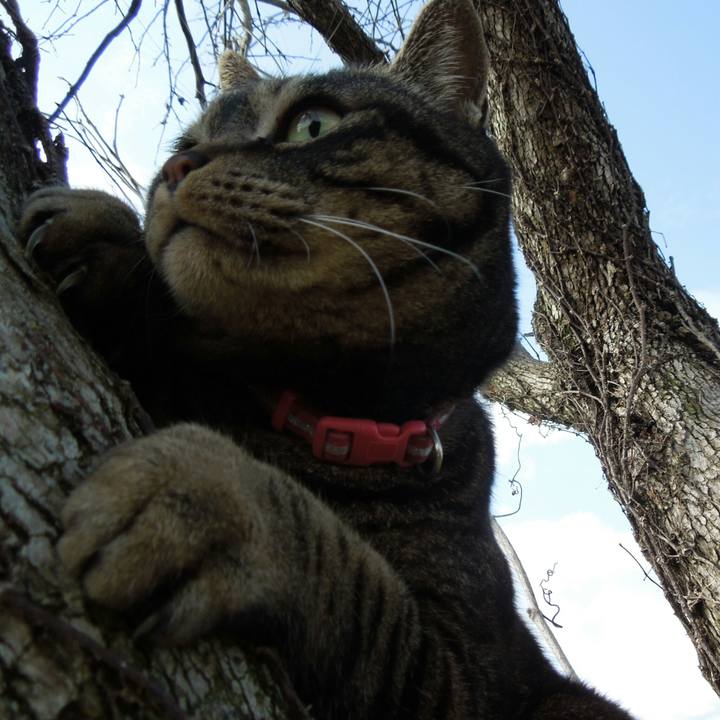 Bc1a5a9c 6421 44fe b7a8 0730b12547f7