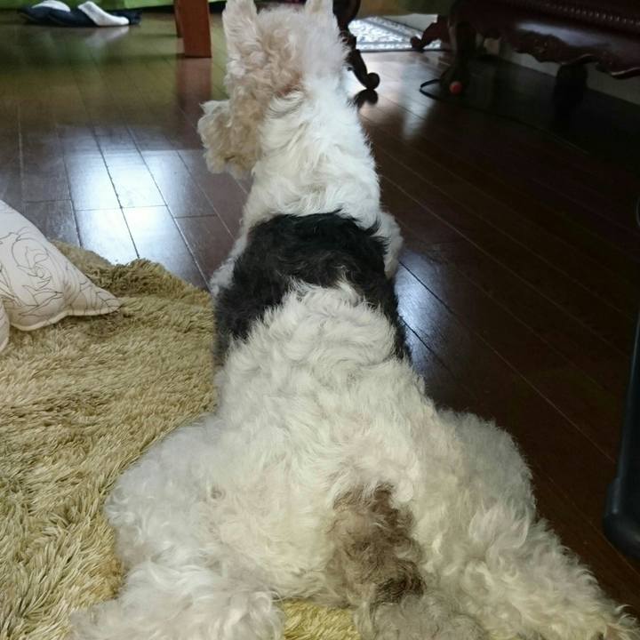 Bc1a5e3f f0ca 4139 ac05 f3d8f79073cc