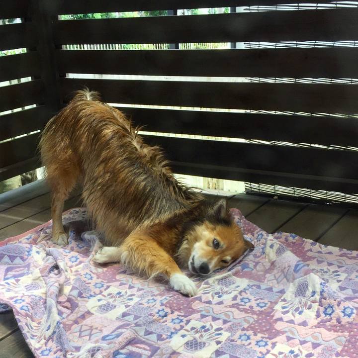 Bc1ad937 b73e 4411 bfde bc6097d2814d