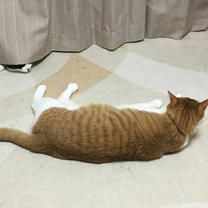 Bc1b29e8 476a 44b5 a816 3587dd8c670d