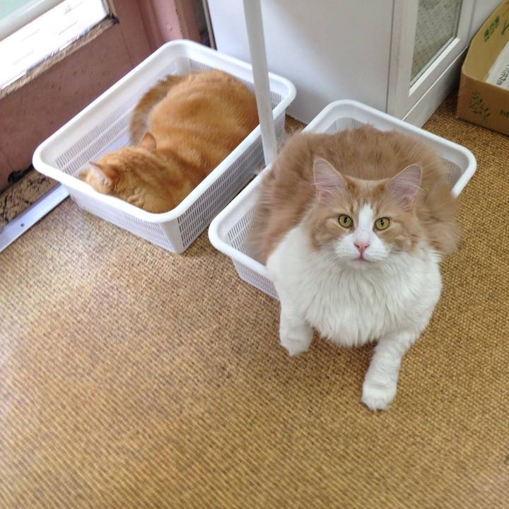 Bc1c2c47 6580 4b2f 8545 087bbbd943ba