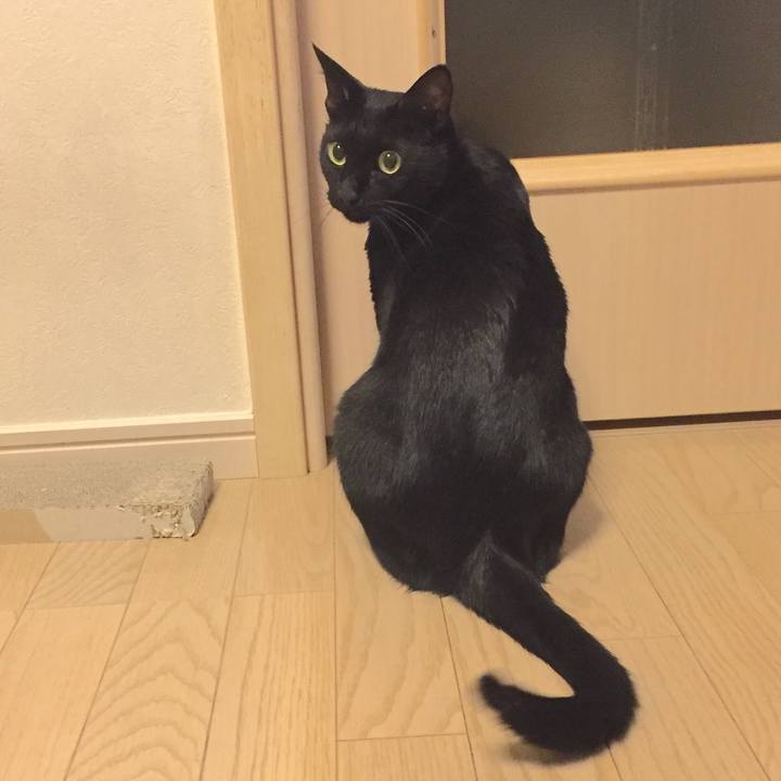 Bc1c37b5 b286 44bb 972d 8308553779af