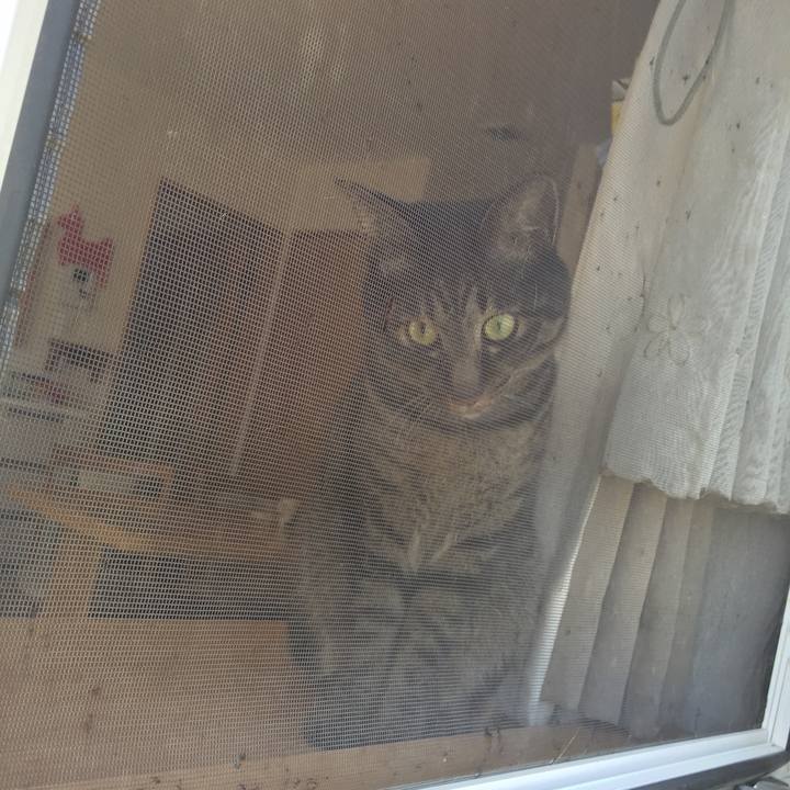 Bc1c7f90 8125 48a6 9585 a0dd3f2d7a80