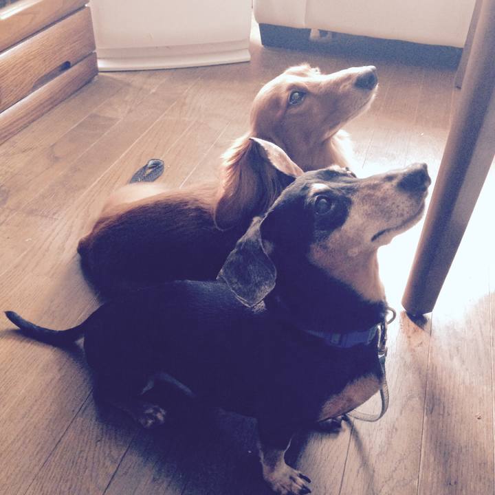 Bc1cd7f0 e965 4185 b024 738f0d47be31