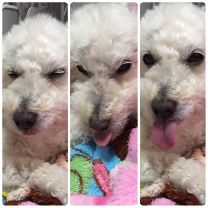 Bc1d6d2d 0b62 4b55 a09d 632242dddb17