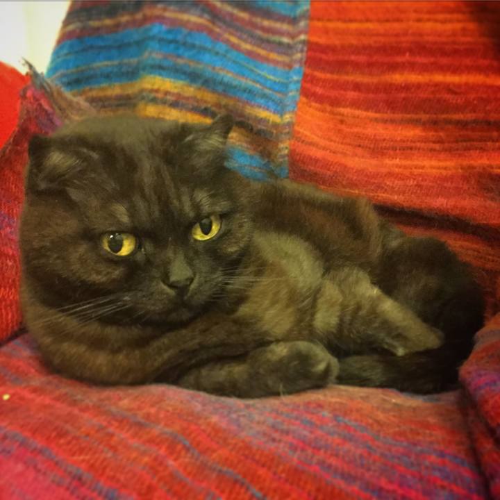 Bc1dfd1a 0a86 4679 b89e ae6ebcf452d6