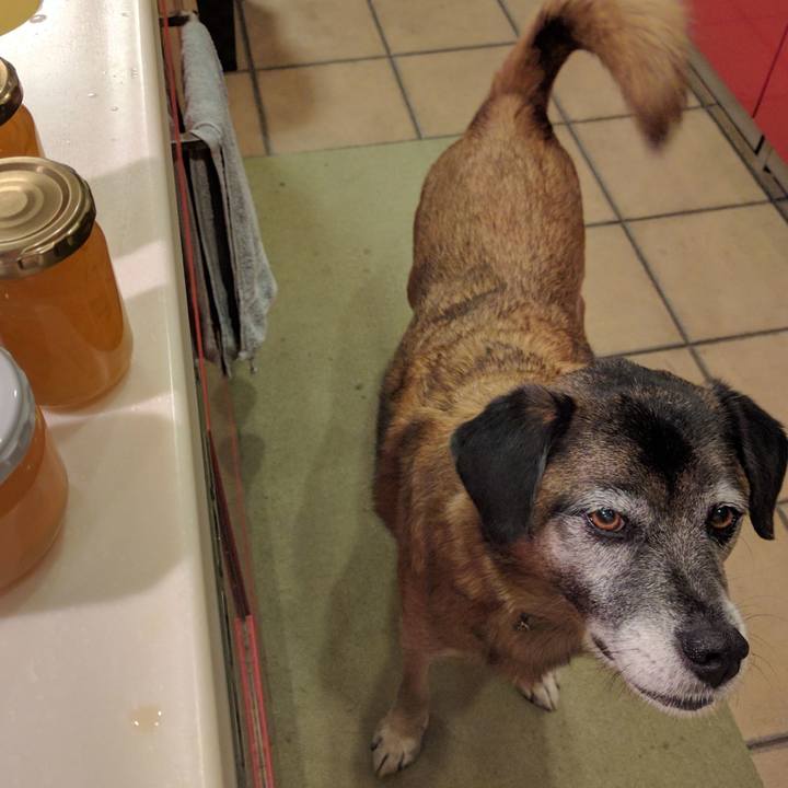 Bc1e9752 f41c 4db9 81ed b6a0e4dc48f2