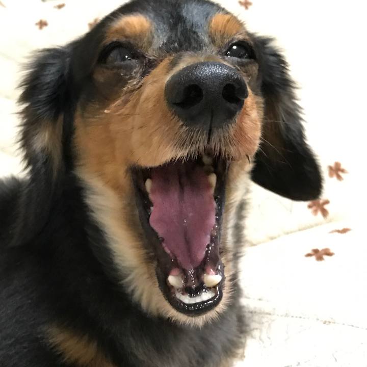 Bc1f0185 ccbe 4e08 86b7 dcce8faee1b6