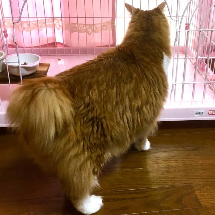 Bc1f224f c862 496d 81b0 99404ac4b094