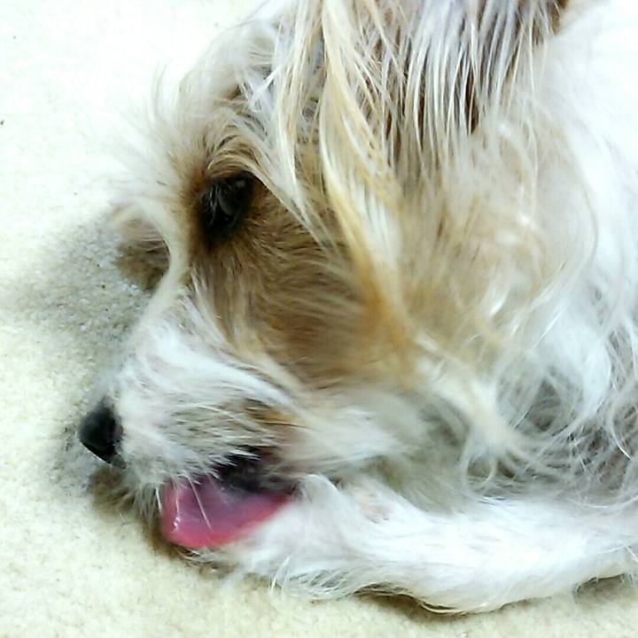 Bc1f3d9c f975 46c7 bce6 6eef7a950b22