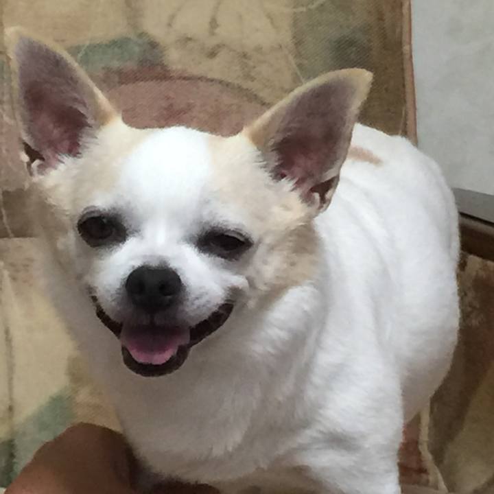 Bc1fcd33 fdd3 4449 a245 eed5726ee935