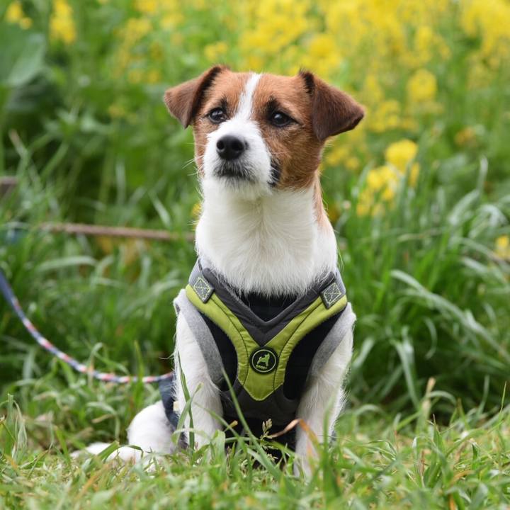 Bc200318 1f4b 4fa3 904b 379fceae33f1