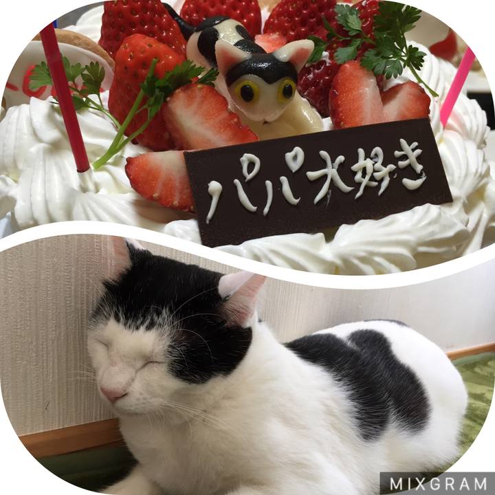 Bc217223 d262 4679 9dff bba8ab751d16