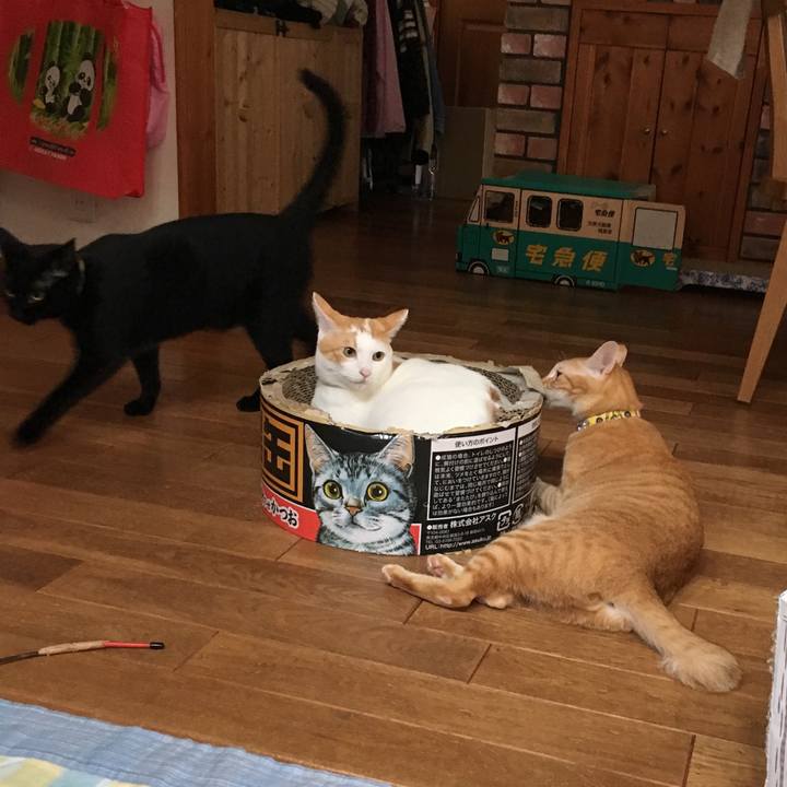 Bc219485 9371 4b9b b397 b19317e0bd8a