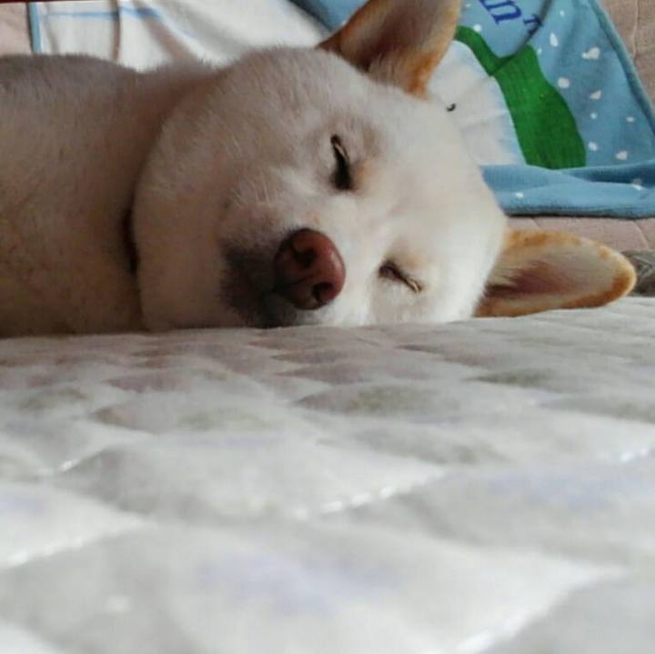 Bc21adfb bb2e 4b8f 8113 e999345bb32c