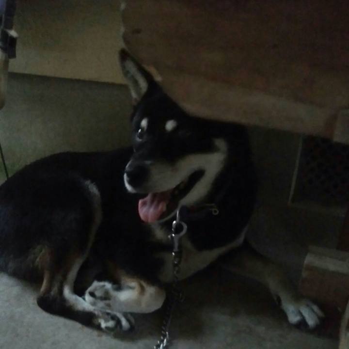 Bc21c050 8926 456a abd4 8da1ddd48f40