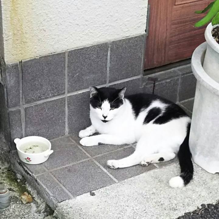 Bc224128 720a 4046 9065 ee0c1a8978fa