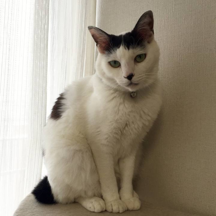 Bc230690 872a 4552 aec6 d2e00dac1cee