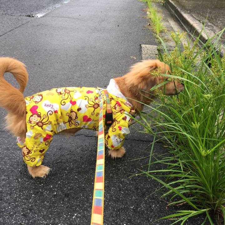 Bc2373d8 7e2a 45fd b448 2ccdd970bc43