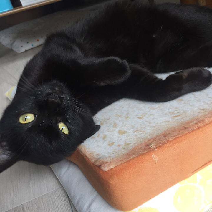 Bc238027 e95b 4f0b b175 3d454bbf41c4