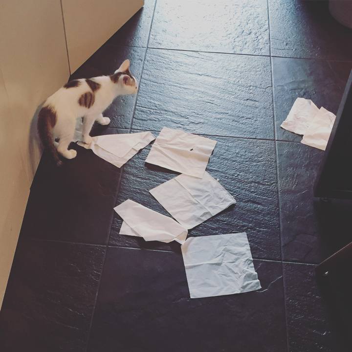 Bc23dd6b aaee 470e 914c 7111cdf8ff26