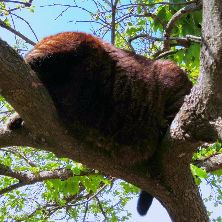 Bc24beef 6b32 4849 946c 8dec2e95ca93