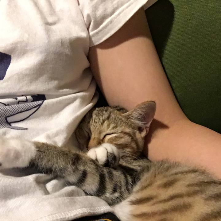 Bc24d08a 64bb 4870 9dc2 9e086d0c367c