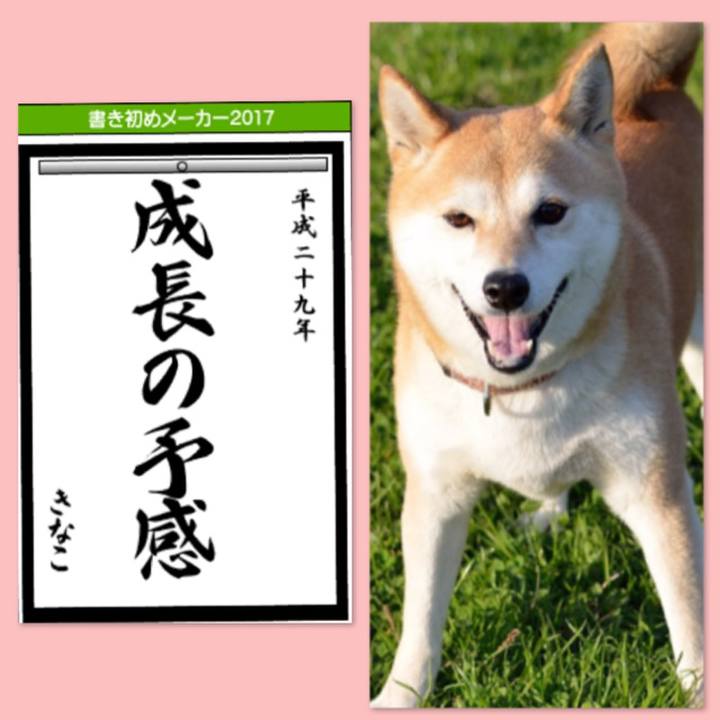 Bc24de3d 5218 4bff b3e9 1ee10d504152