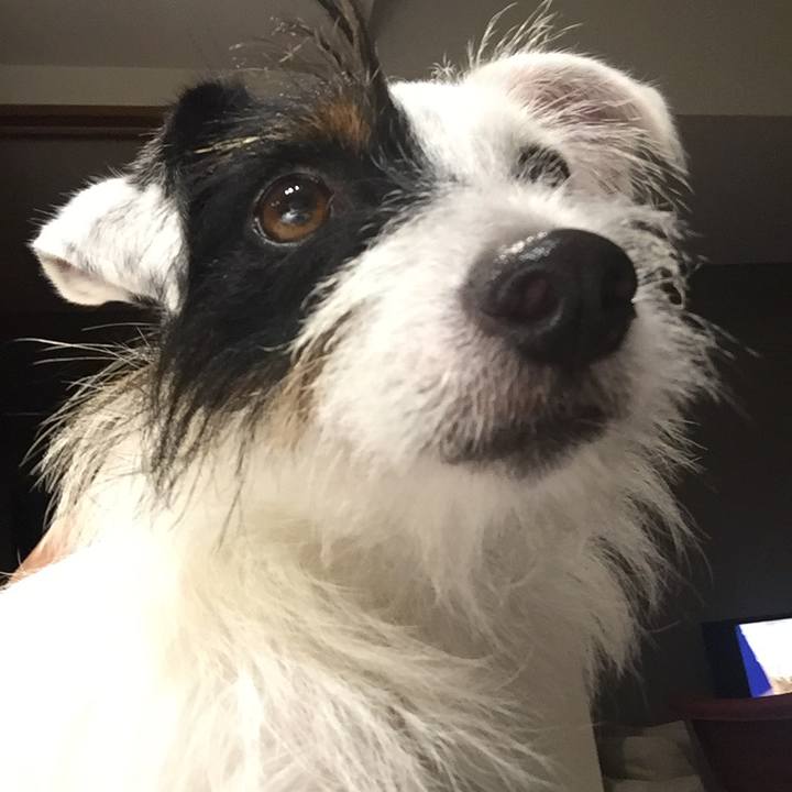 Bc24efcc 832f 4bba ad8f fcb6fea82d23