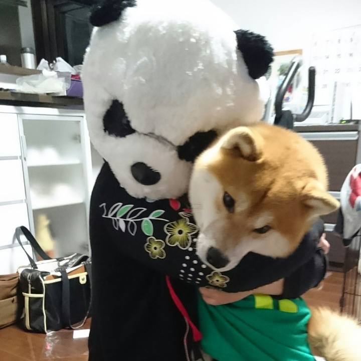 Bc258675 b085 4e90 9aff 09040d8ede0d