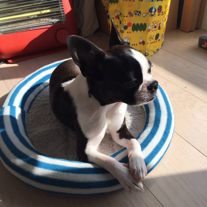 Bc25f79a bab3 4651 9d2a f12b28fe74f4