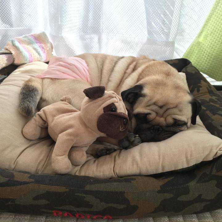 Bc2643d0 bf00 42e7 9519 77cb220b20f9