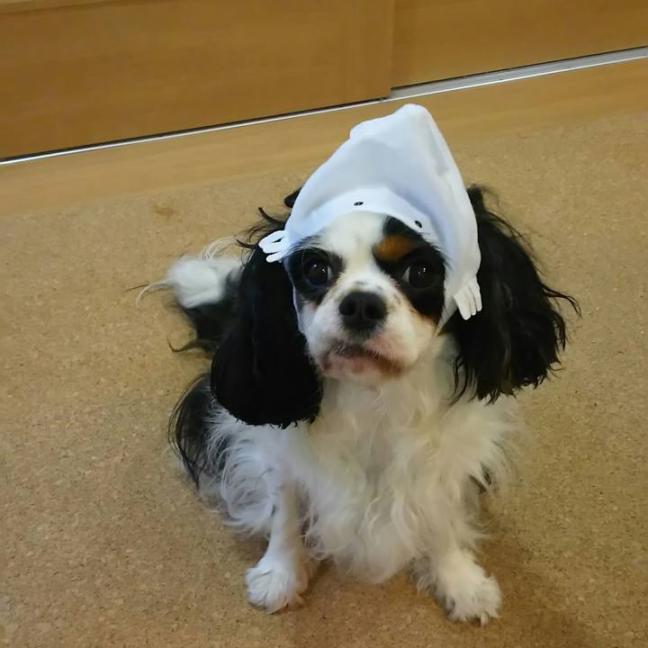 Bc270682 9f8b 4bb5 bbc9 3bb78bbf035e