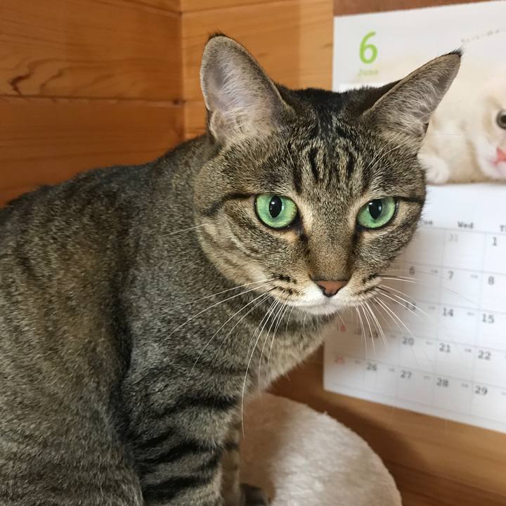 Bc281124 fc51 47de 891d 8e8d6c1a453a