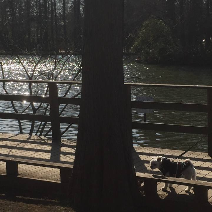 Bc286d8a 11f6 4279 96ee 388ad04ede3d