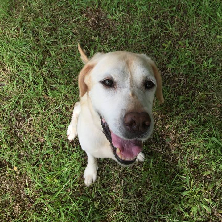 Bc296c3e 08ab 4bdf 97f7 b5a39be58ad0