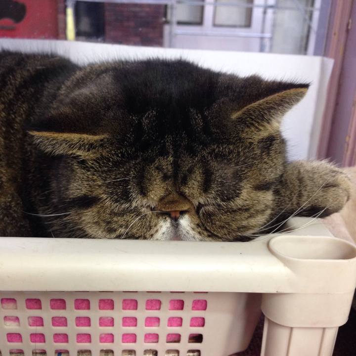 Bc2aa99b da2e 4e09 a709 8da75a206b88