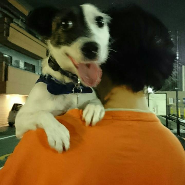 Bc2aff3f 6781 4cde aea4 1d04d17df320