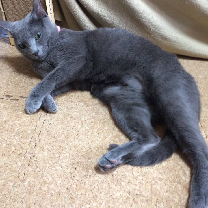 Bc2b1dfc ad77 4102 a38b ad3e1e7040f3